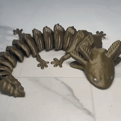 A1DEB93D-FDF2-47F8-9659-104E5CAD00C5.gif STL file articulated axolotl - print in place・Model to download and 3D print