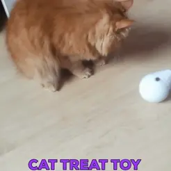 cat_treat_toy.gif CAT TREAT TOY