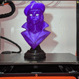 header_animation_optimized.gif The Spaghetti Detective bust