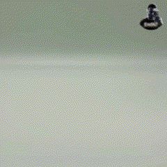 Unbenanntes-Video-–-Mit-Clipchamp-erstellt.gif Bebé Bull Dragon - Flexi - Impressão no local - Sem suportes - Fantasia