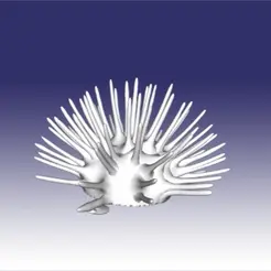 3q7rtb.gif Sea Urchin