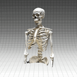 IMG_3874.gif Skeleton scanned with Qlone
