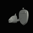 render-3.gif fish head trophy Common dentex / dentex dentex open mouth statue detailed texture for 3d printing