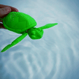 TurtleVideo2.gif Bonita tortuga Flexi Print-in-Place
