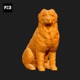 237-Bernese_Mountain_Dog_Pose_06.gif Bernese Mountain Dog 3D Print Model Pose 06