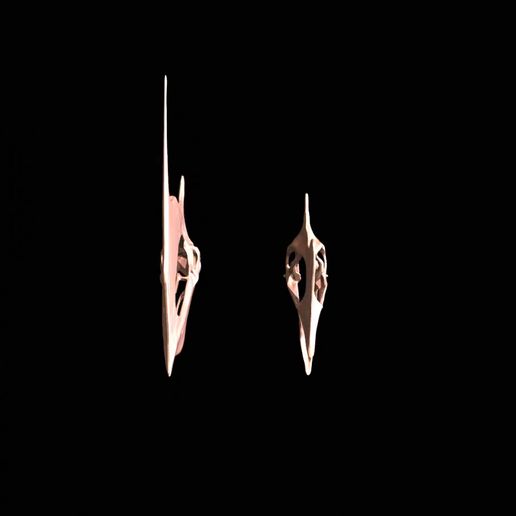 Tapejara-deux-variantes-craniennes.mp4 Tapejara two cranial variants