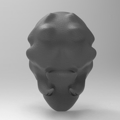 untitled.207.gif STL file MASK MASK VORONOI COSPLAY HALLOWEEN・3D printable model to download