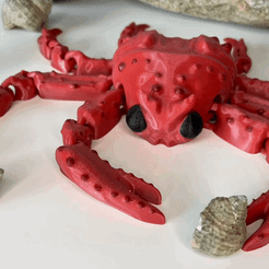 20220523_190739128_iOS.gif STL file Articulated Spider Crab Flexi Toy・3D printer design to download, LayersInGreen