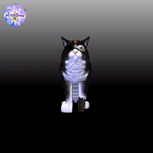 Pirate-Cat-gif.gif Fichier 3D Flexy Pirate Cat - Chat articulé Flexi Cat・Objet imprimable en 3D à télécharger, MysticSaige
