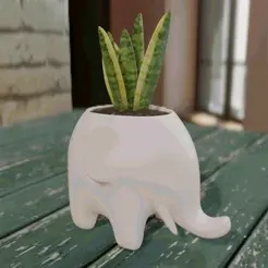 animacion.gif Planter elephant pot succulent plants for home