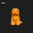526-Coton_De_Tulear_Pose_07.gif Coton De Tulear Dog 3D Print Model Pose 07