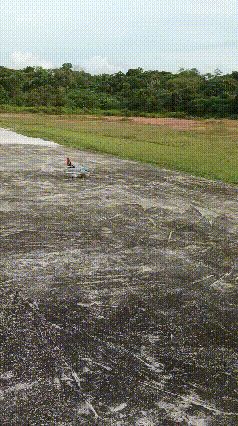 1000359674.gif FOAMBOARD 50MM EDF A4-N SKYHAWK PDF PLAN