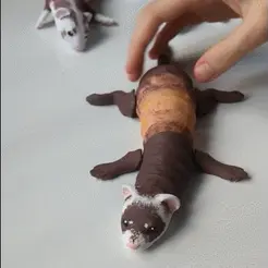 3.gif Articulated Ferret, print-in-place