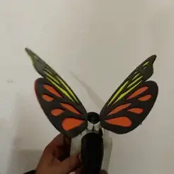 ezgif.com-gif-maker-(5).gif STL-Datei butterfly・3D-druckbares Modell zum Herunterladen