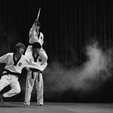 Taekwondo.gif 2 em 1 Porta Trecos e Suporte Alexa Echo Dot 4a e 5a Geração Taekwondo