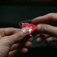 dije.gif Illusionist's Print-In-Place Charm