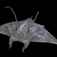 tinywow_2_31508602.gif MANTA RAY - DOWNLOAD MANTA RAY 3d Model - animated for Blender-Fbx-Unity-Maya-Unreal-C4d-3ds Max - 3D Printing MANTA RAY FISH SEA