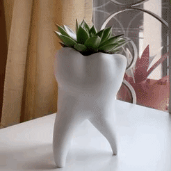 GIF-2021-12-29-02-44-04.gif STL file Tooth Vase, Dentist Gift・3D print design to download