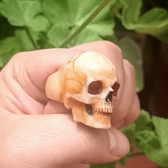 InShot_20230906_112245140.gif Archivo STL Skull Ring accurate・Modelo para descargar y imprimir en 3D