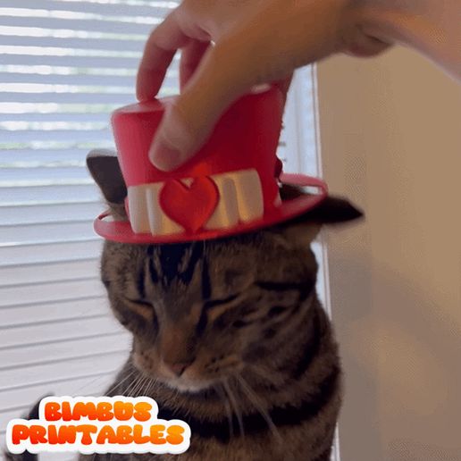 Valentine-1.gif Gorro de gato para San Valentín🥰😻💖