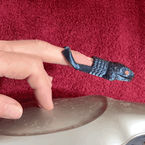 vllo-13.gif Doigts de serpent stupides
