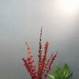 IMG_8673.gif Ostern Vase