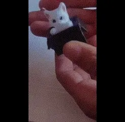 Video-sin-título-‐-Hecho-con-Clipchamp-2.gif llavero gato cute de cajita pack x 3 und