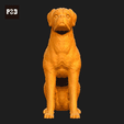 316-Boxer_Pose_04.gif Boxer Dog 3D Print Model Pose 04