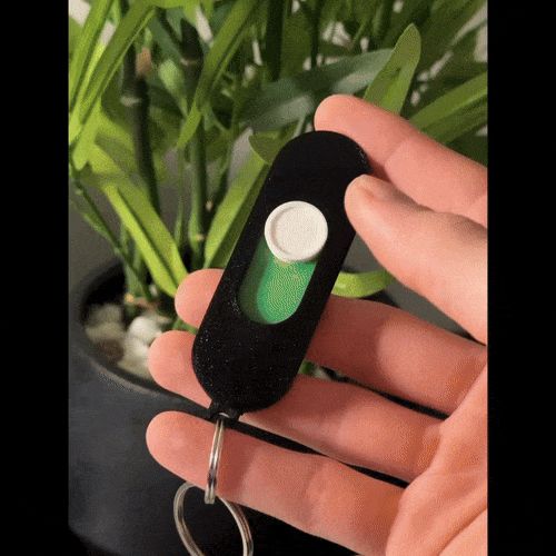 Showcase.gif Switch Fidget Keychain