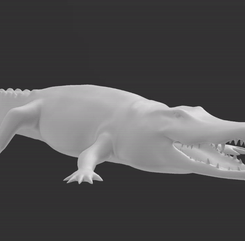 coco.gif STL file Cocodrile for 3D Printing・Design to download and 3D print, 3D_Zaga