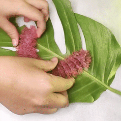 WhatsApp-sVideo-2022-02-19-at-12.gif STL file articulated fuzzy caterpillar・3D printing idea to download, Prigle