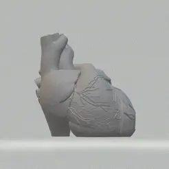 Unbenannt-1.gif Anatomical Heart Vase