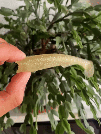 95 mm vinyl - 3D model önizlemesi