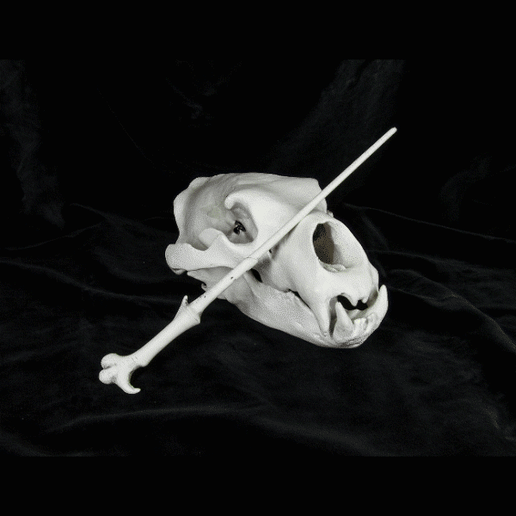 VOLDEMORT.gif Download file Harry Potter wand set - Harry Potter films 3D print model • 3D printable design, 3D-mon