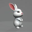 Little-Rabbitw.gif Kleiner Hase