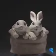 Baby-Kitten-Gif-Cults.gif Easter Bunny Baskets - Baby Kitten