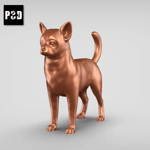 Chihuahua V3 3D model