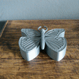 cults.gif Butterfly jewelry box