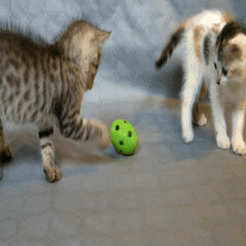 anim_ball_cat_300_suplt.gif STL file The cat ball・3D print design to download