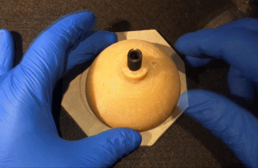 Phantom Cervical Cerclage Phantom / Exterior Cervical Cerclage Phantom - 3D model önizlemesi