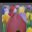 Screen_Recording_20230624_203715_Nomad-Sculpt_1.gif leafy tulip