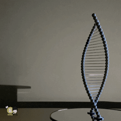완-gif3.gif STL file Beautiful bridges DNA・3D print model to download, Eunny
