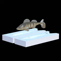 candat-kopyto-13cm.gif STL file AM bait zander 2.0 / pikeperch 13cm hoof form for predator fishing・3D printer design to download