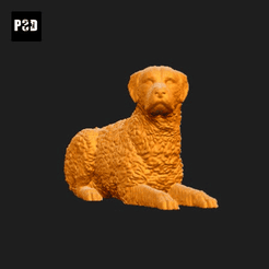 537-Curly_Coated_Retriever_Pose_09.gif Archivo STL Curly Coated Retriever Perro Impresión 3D Modelo Pose 09・Plan de impresión en 3D para descargar