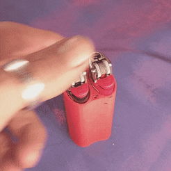 20221110_231328-1.gif Free STL file Dual Bic Lighter Case with Stoker Holders・3D printer design to download, Floquininos