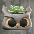 Owl-Planter-turn.gif Owl head planter