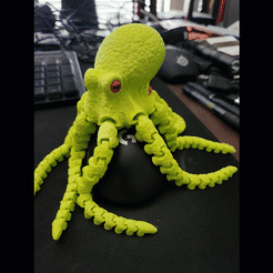 Octopus 2.0, whasamatau