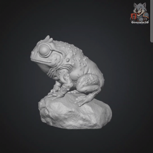 Jungle Horned Frog - Bit for base decoration