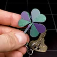 VID_20250315_013519_1.gif Flexible Shamrock Keychain ☘️