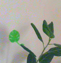 Untitled-video-Made-with-Clipchamp-9.gif STL file Plant base・3D printable model to download